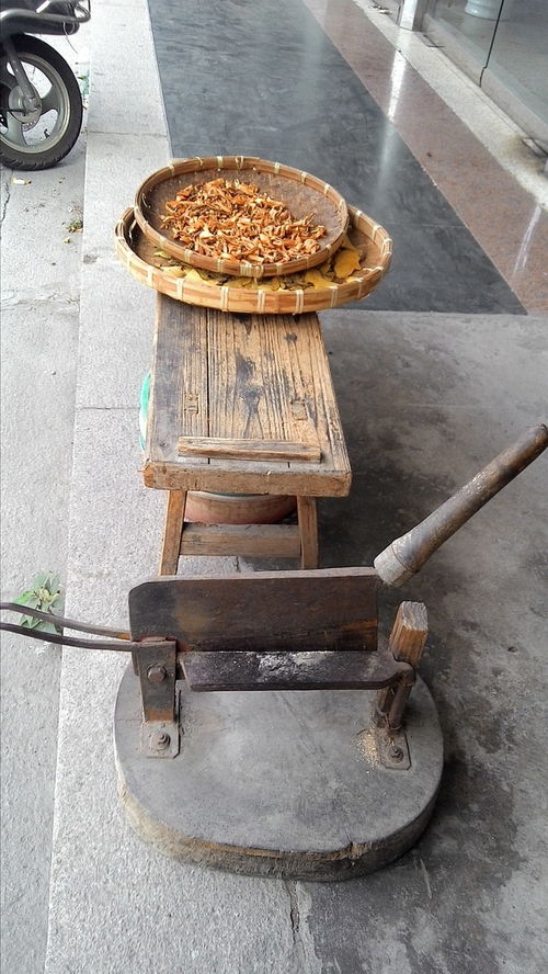 汕頭游記 汕頭 礐石篇